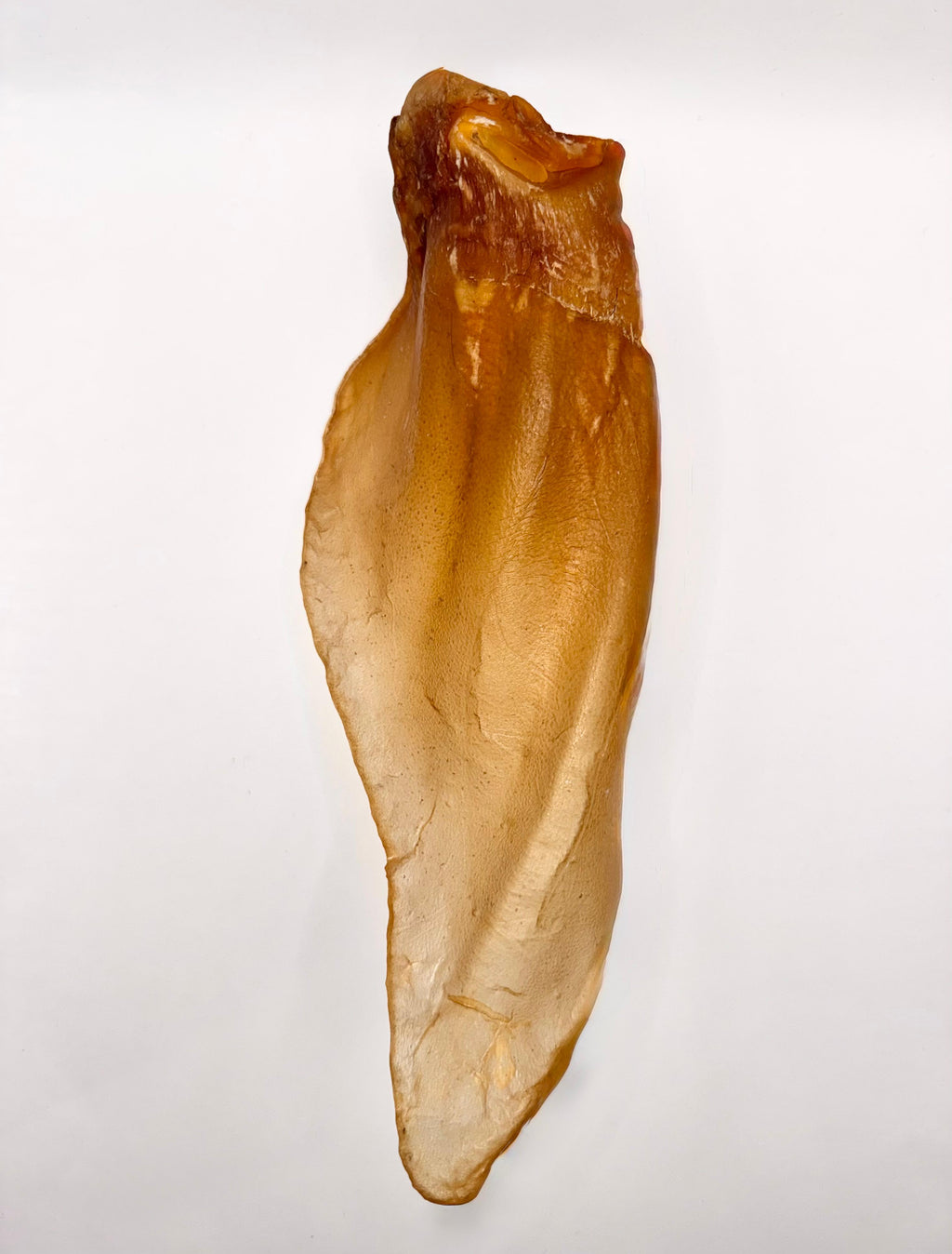 Buffalo XL Ears 20 - 25 cm with meat PREMIUM QUALITY 100% Natural Dog Treats