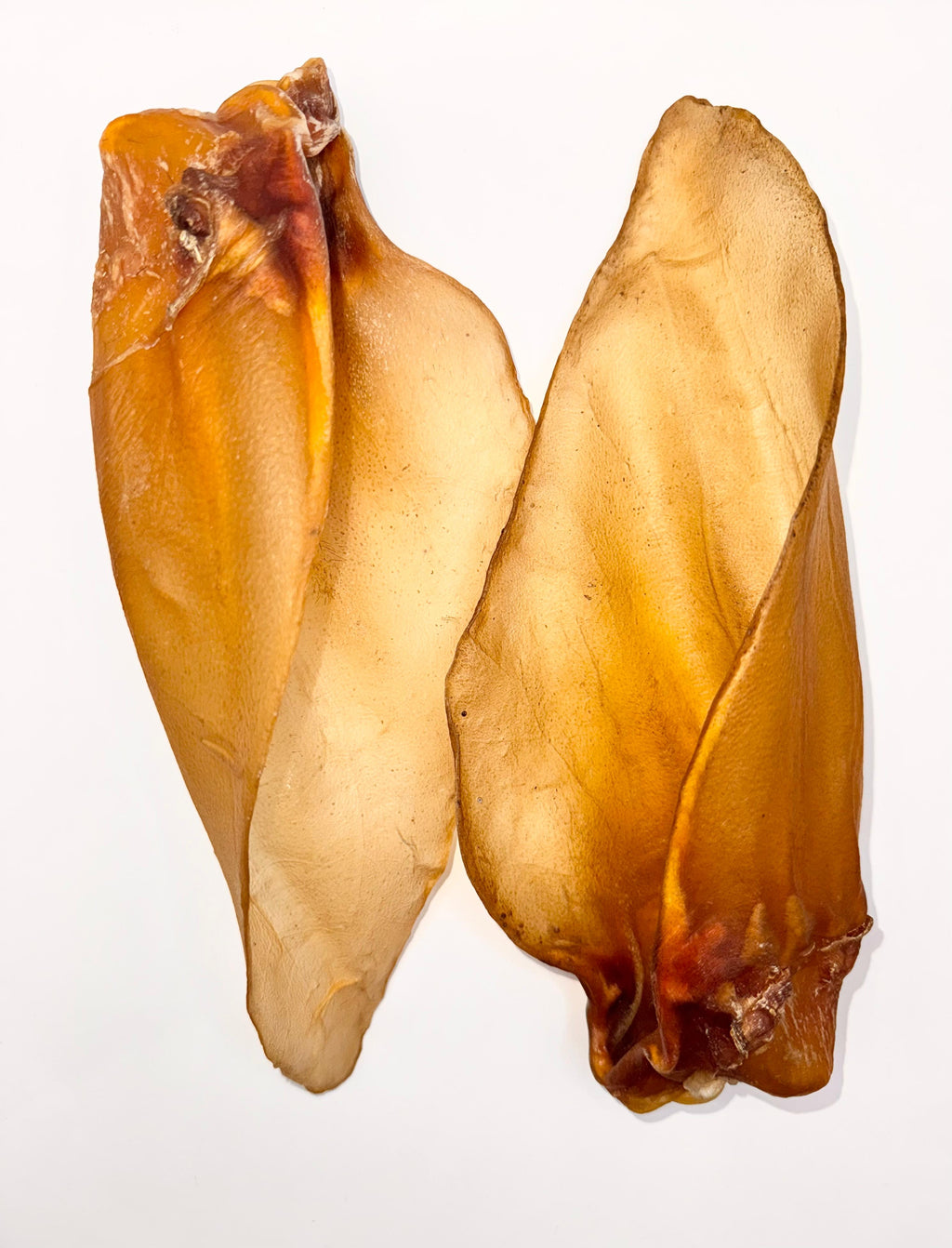 Buffalo XL Ears 20 - 25 cm with meat PREMIUM QUALITY 100% Natural Dog Treats