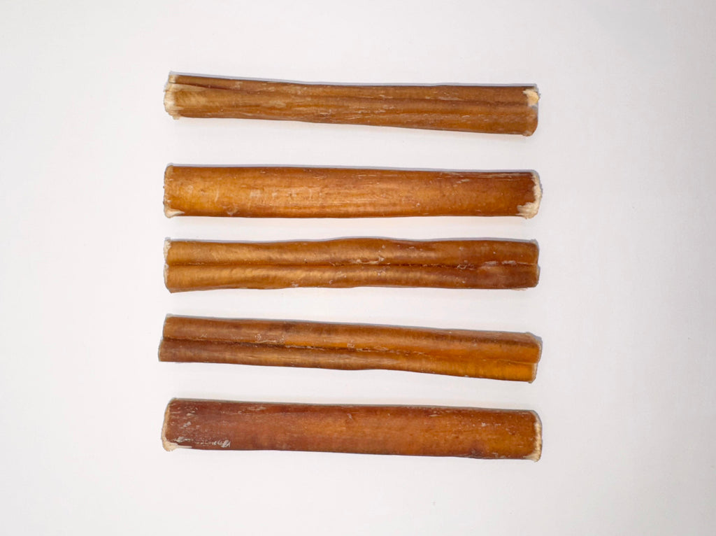 THICK 15 cms ie 6 inches long Beef Buffalo Pizzle (4-5 in each pack) Natural Dog Treats Dental Chews