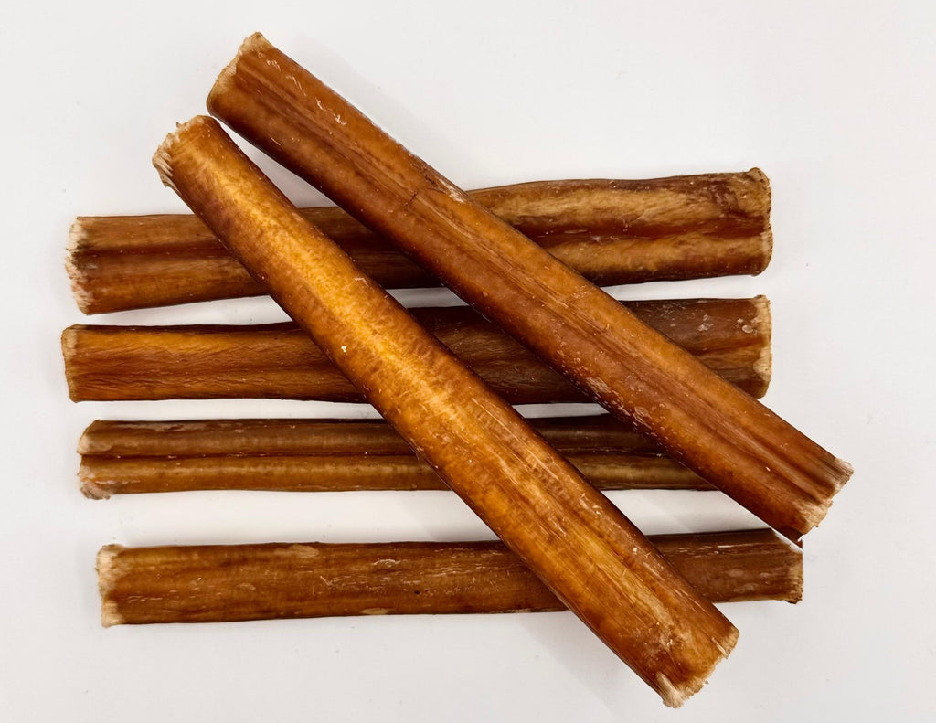 THICK 15 cms ie 6 inches long Beef Buffalo Pizzle (4-5 in each pack) Natural Dog Treats Dental Chews