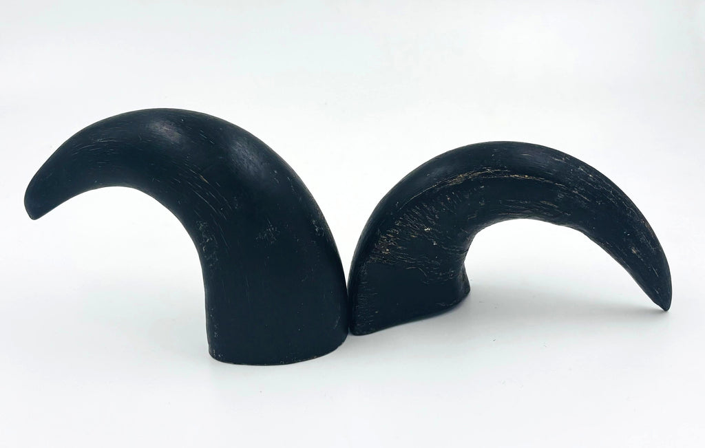 Buffalo Bull Horns each weighing 100 - 130 gms